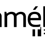 camelia_tech